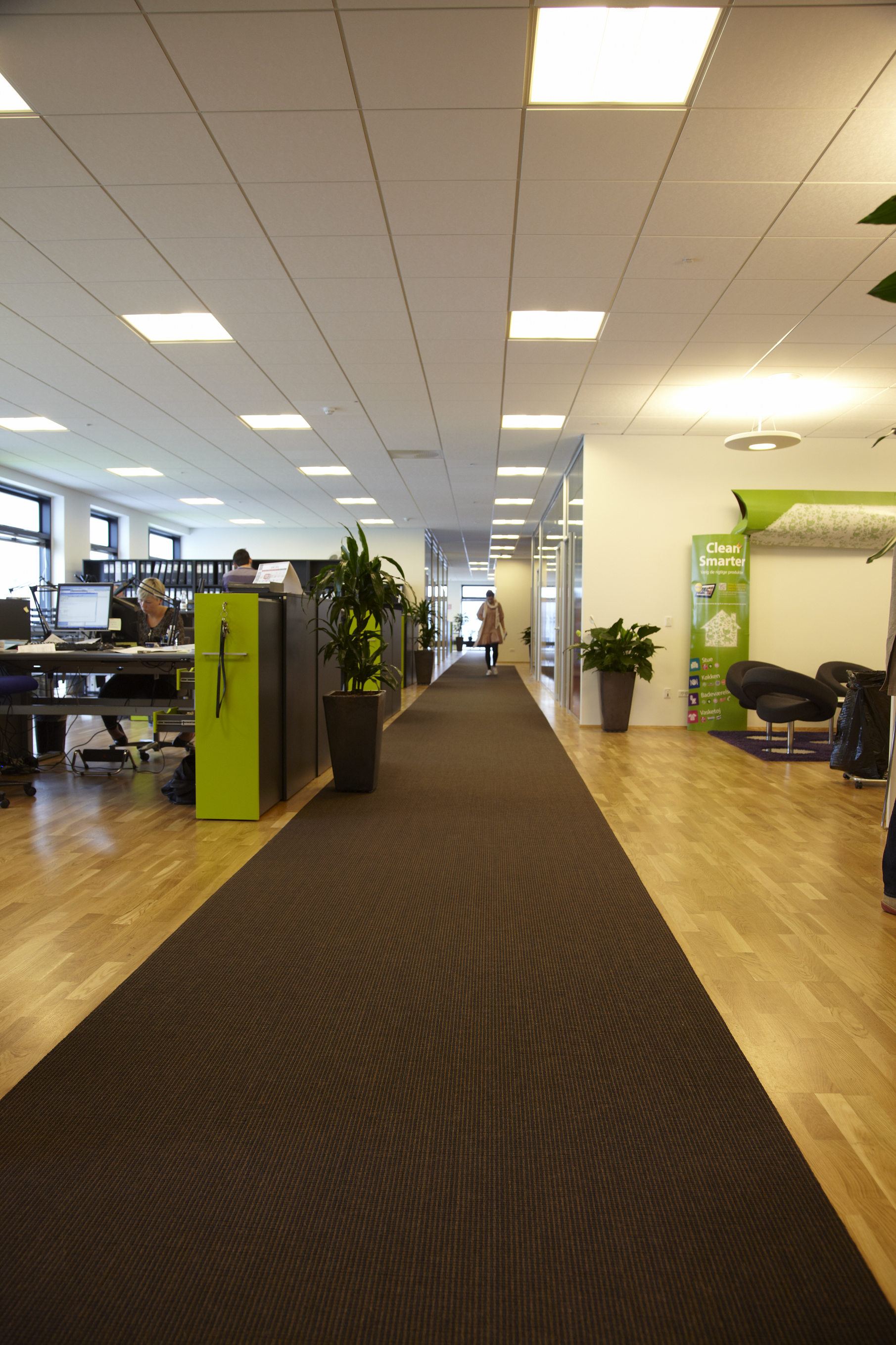 reckitt benckieser , Multicolor sisal løber på kontorgang